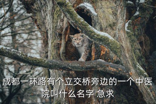 中醫附院，成都一環路有個立交橋旁邊的一個中醫院叫什么名字 急求