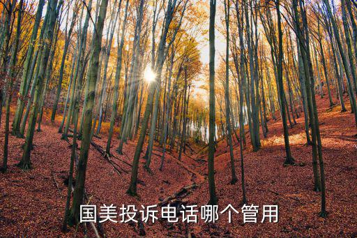 國美投訴電話哪個管用