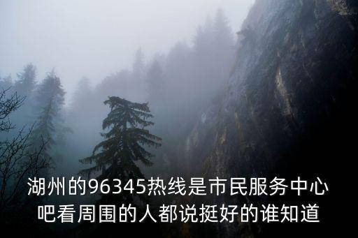 湖州的96345熱線是市民服務中心吧看周圍的人都說挺好的誰知道