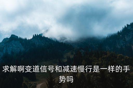 求解啊變道信號和減速慢行是一樣的手勢嗎