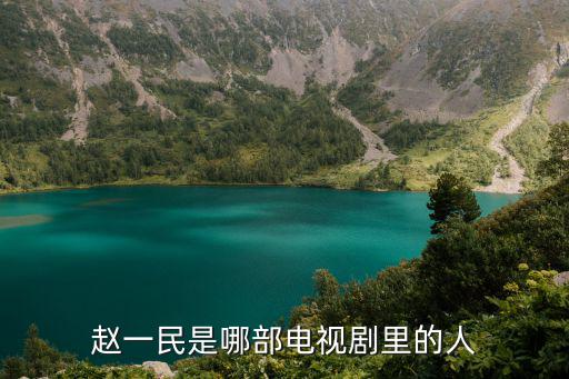 趙一民是哪部電視劇里的人