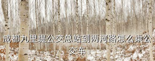 成都九里堤公交總站到兩河路怎么乘公交車