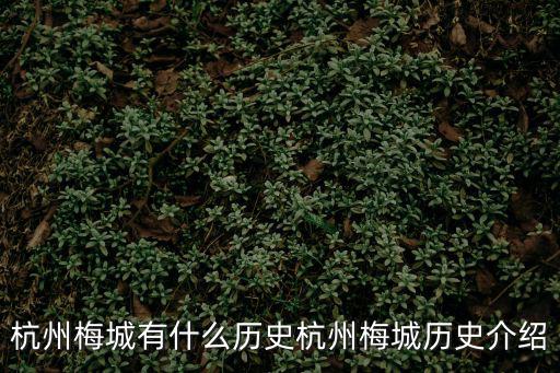 杭州梅城有什么歷史杭州梅城歷史介紹