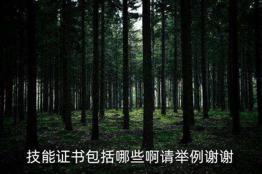 技能證書包括哪些啊請(qǐng)舉例謝謝
