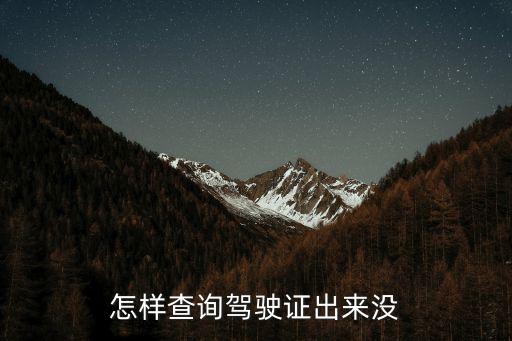 怎樣查詢駕駛證出來沒