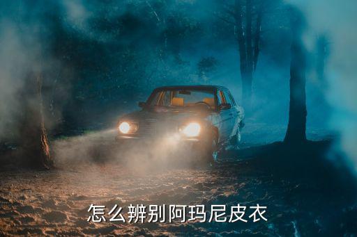 怎么辨別阿瑪尼皮衣