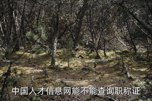 中國人才信息網能不能查詢職稱證