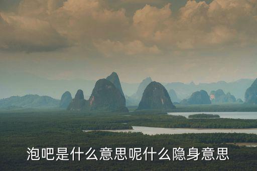 泡吧是什么意思呢什么隱身意思
