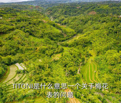 titoni，TITONI是什么意思一個關于梅花表的問題