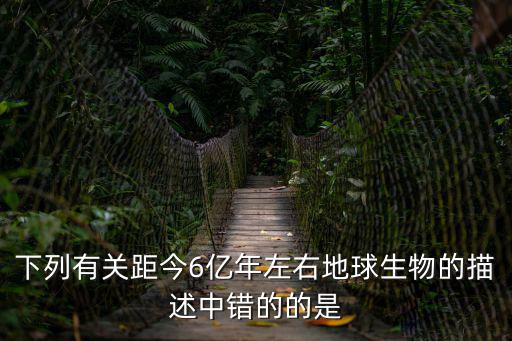 下列有關距今6億年左右地球生物的描述中錯的的是