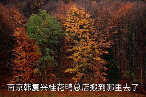 南京韓復(fù)興桂花鴨總店搬到哪里去了
