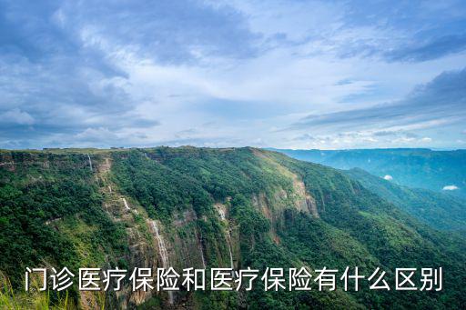 門診醫療保險和醫療保險有什么區別