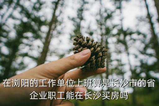 在瀏陽的工作單位上班算是長沙市的省企業職工能在長沙買房嗎