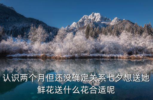 認識兩個月但還沒確定關系七夕想送她鮮花送什么花合適呢