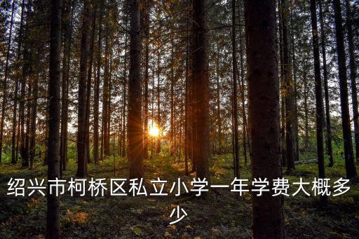 紹興市柯橋區私立小學一年學費大概多少