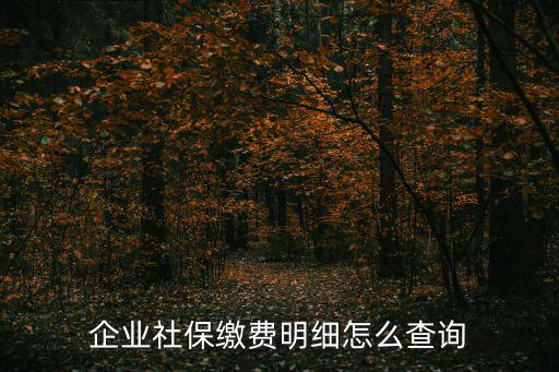 企業社保繳費明細怎么查詢