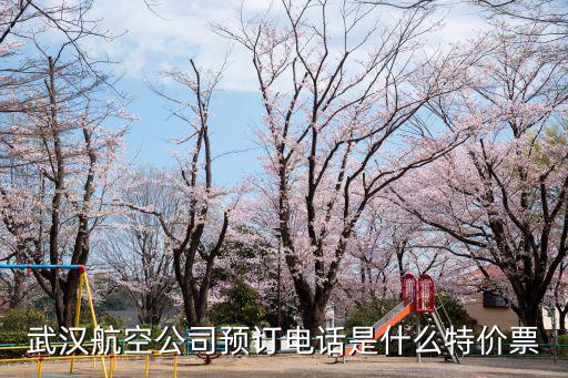 武漢機(jī)票預(yù)訂，武 漢 機(jī) 場(chǎng) 訂 票 電 話