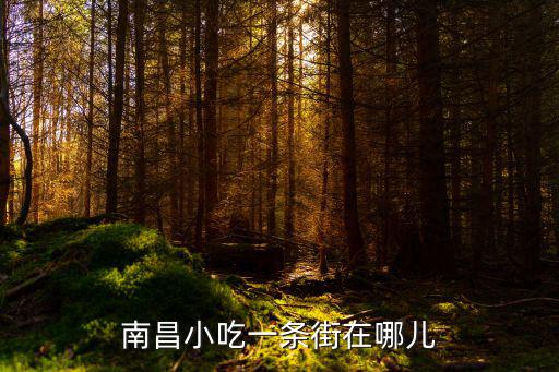 南昌小吃一條街在哪兒