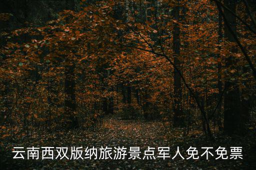 云南西雙版納旅游景點(diǎn)軍人免不免票
