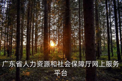 廣東省人力資源和社會保障廳網上服務平臺