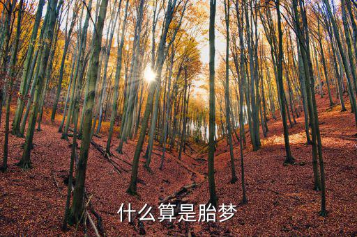 什么是胎夢，什么算是胎夢