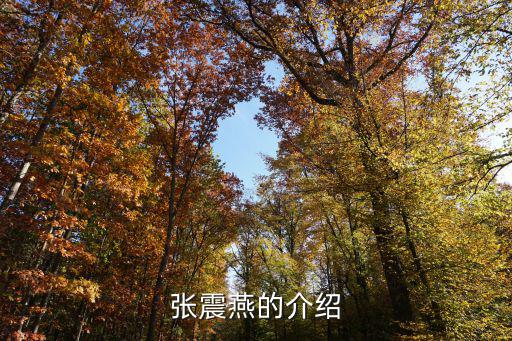 張震燕的介紹
