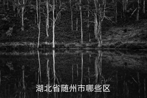 湖北省隨州市哪些區