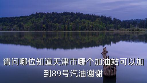 請(qǐng)問(wèn)哪位知道天津市哪個(gè)加油站可以加到89號(hào)汽油謝謝
