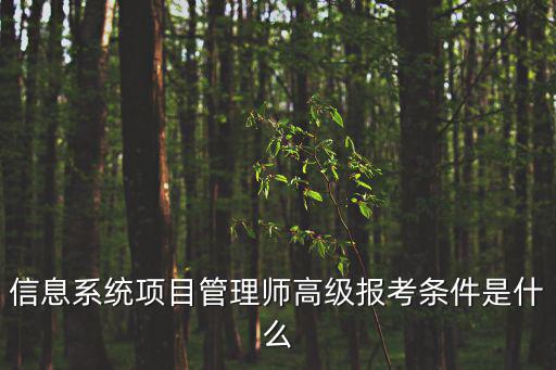 信息系統項目管理師高級報考條件是什么