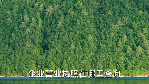 企業營業執照在哪里查詢