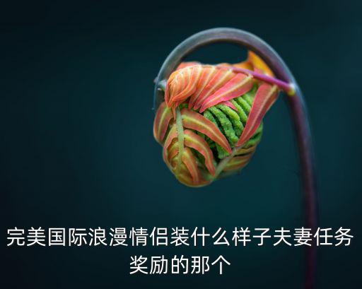 完美國際浪漫情侶裝什么樣子夫妻任務獎勵的那個