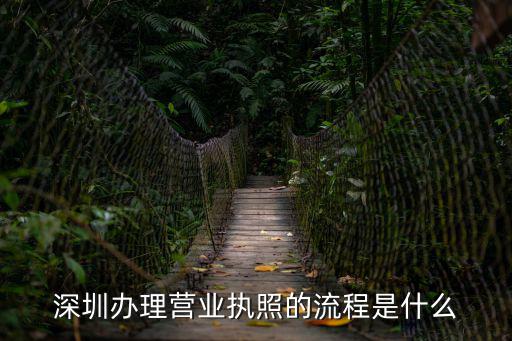 深圳辦理營業(yè)執(zhí)照的流程是什么