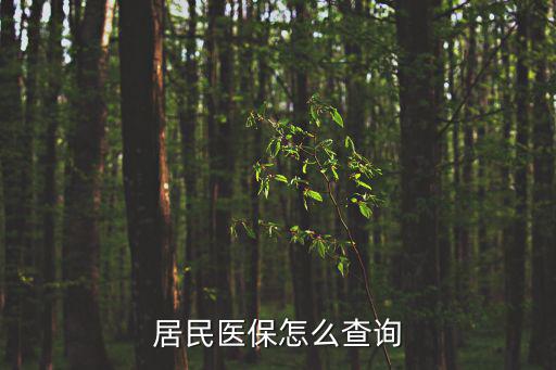 居民醫保怎么查詢
