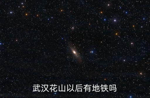武漢19號線，武漢地鐵19號線路途經過多少站