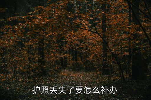 護照丟失了要怎么補辦