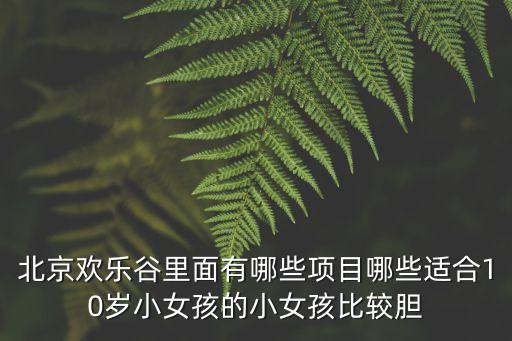 北京歡樂谷里面有哪些項目哪些適合10歲小女孩的小女孩比較膽