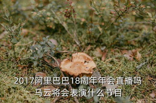 2017阿里巴巴18周年年會直播嗎馬云將會表演什么節目