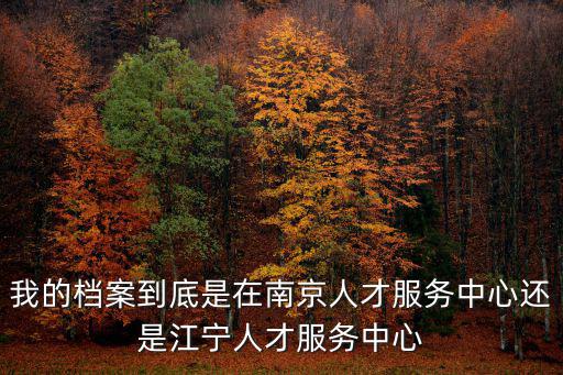 我的檔案到底是在南京人才服務(wù)中心還是江寧人才服務(wù)中心
