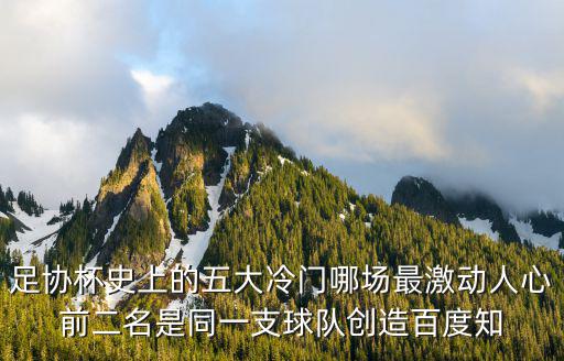 足協杯賽，足協杯是什么意思