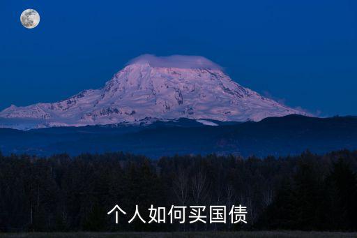 個人如何買國債