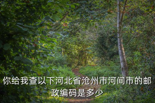你給我查以下河北省滄州市河間市的郵政編碼是多少