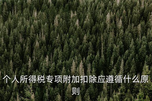 個人所得稅專項附加扣除應遵循什么原則