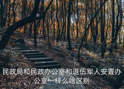 民政局和民政辦公室和退伍軍人安置辦公室一樣么啥區別