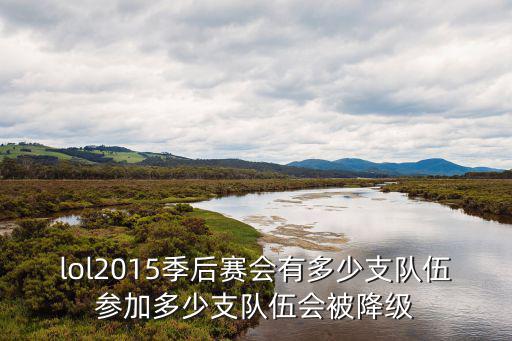 lol2015季后賽會(huì)有多少支隊(duì)伍參加多少支隊(duì)伍會(huì)被降級(jí)