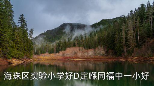 海珠區實驗小學好D定喺同福中一小好