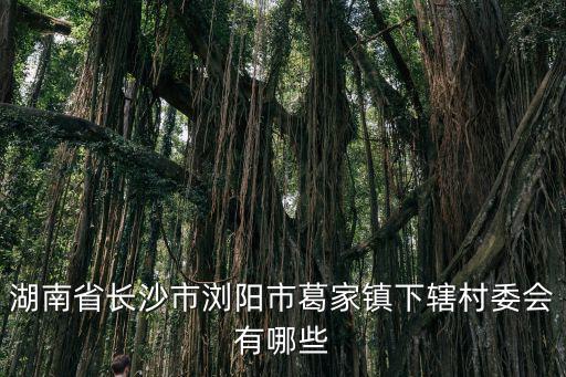 葛家鎮(zhèn)，去威海文登葛家鎮(zhèn)路上走不走青島