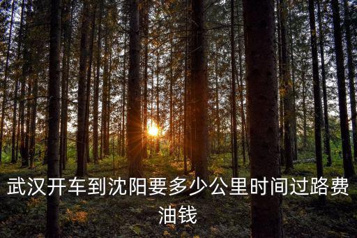 武漢到沈陽，從武漢到沈陽坐飛機要多久坐火車列哪個比較好啊