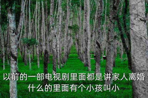 以前的一部電視劇里面都是講家人離婚什么的里面有個小孩叫小