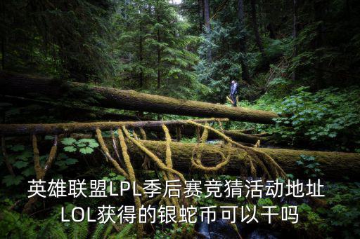 英雄聯(lián)盟LPL季后賽競猜活動(dòng)地址 LOL獲得的銀蛇幣可以干嗎