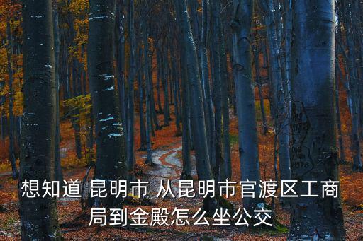 想知道 昆明市 從昆明市官渡區工商局到金殿怎么坐公交